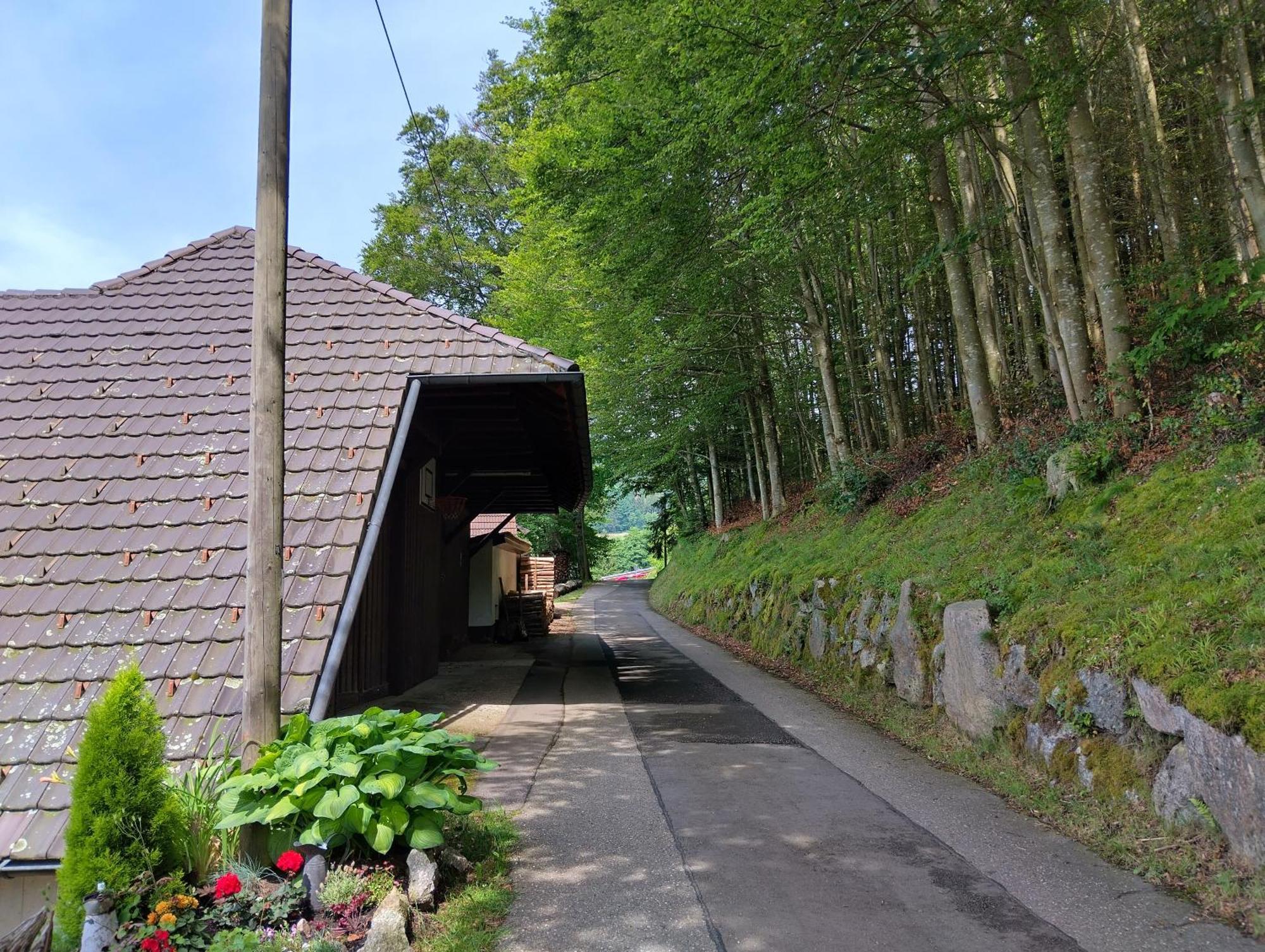 Ferienwohnung Haus "Guck - Ins - Tal" Sasbachwalden Exterior foto